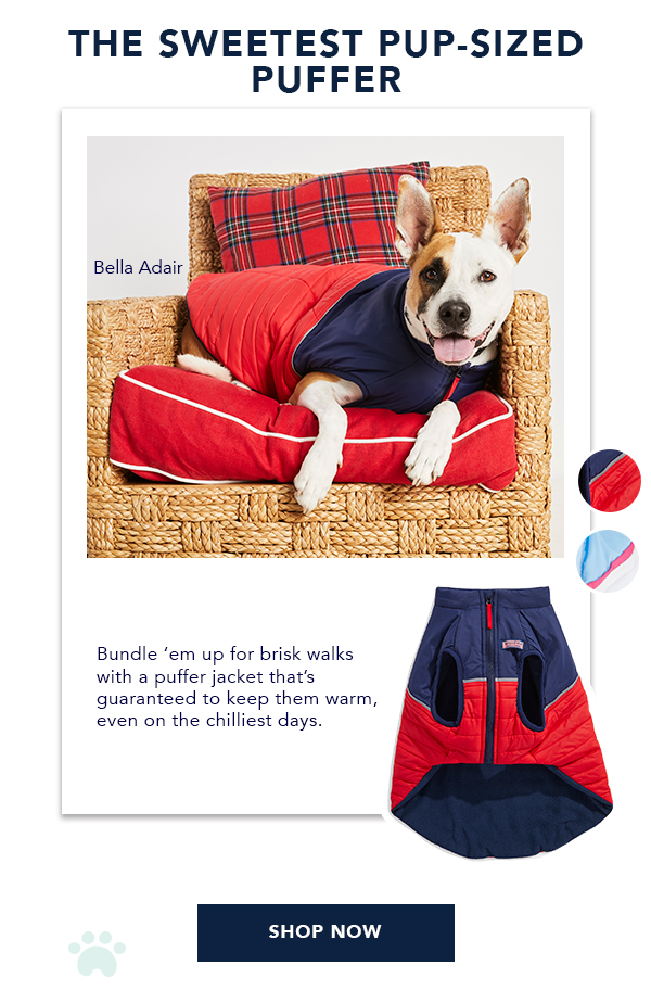 Vineyard vines outlet dog bed